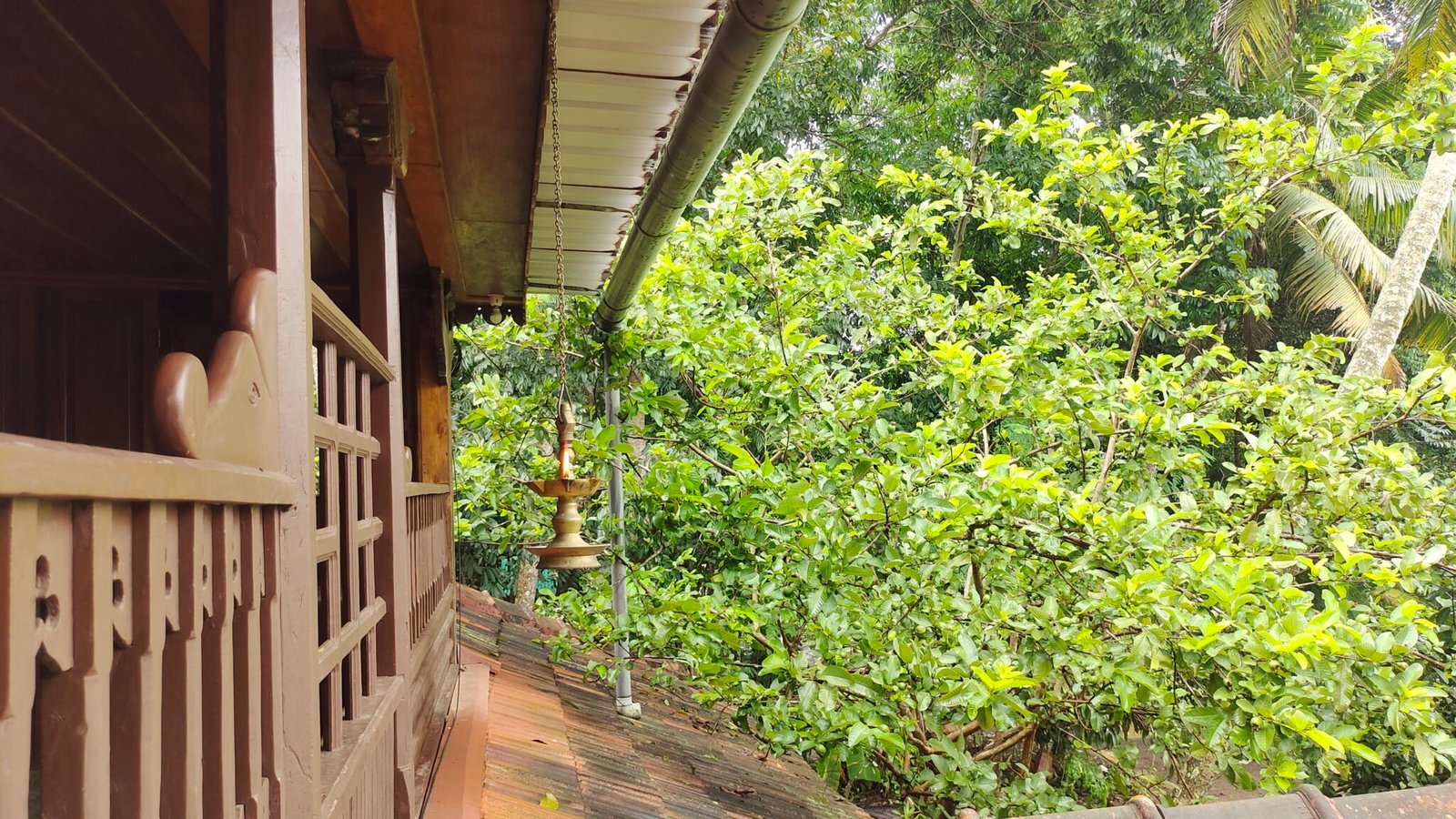 module:1facing:0; ?hw-remosaic: 0; ?touch: (-1.0, -1.0); ?modeInfo: ; ?sceneMode: Night; ?cct_value: 0; ?AI_Scene: (-1, -1); ?aec_lux: 0.0; ?hist255: 0.0; ?hist252~255: 0.0; ?hist0~15: 0.0; ?module:1facing:0; 
hw-remosaic: 0; 
touch: (-1.0, -1.0); 
modeInfo: ; 
sceneMode: Night; 
cct_value: 0; 
AI_Scene: (-1, -1); 
aec_lux: 0.0; 
hist255: 0.0; 
hist252~255: 0.0; 
hist0~15: 0.0;